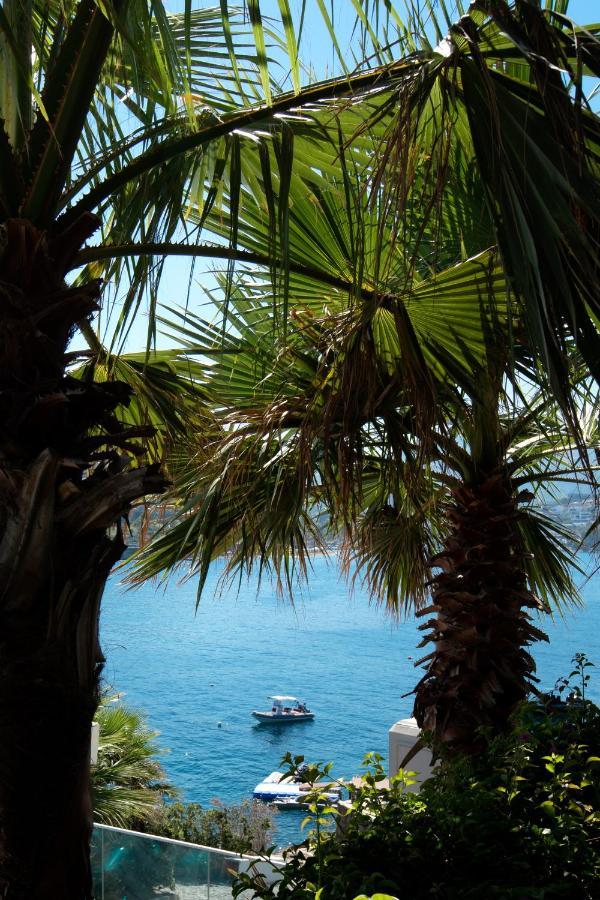 Boel Hotel Bodrum بودروم المظهر الخارجي الصورة