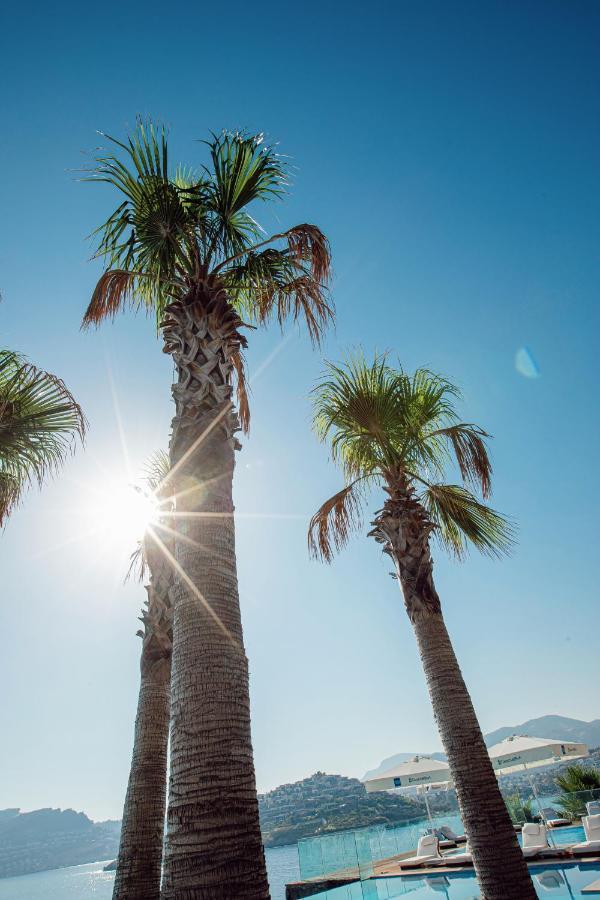Boel Hotel Bodrum بودروم المظهر الخارجي الصورة